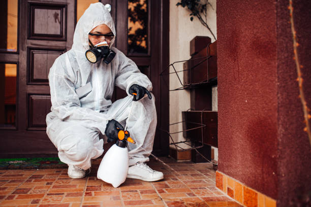 Reliable Wasp Removal contractor in Southeast Arcadia, FL by Show Me Pest Control